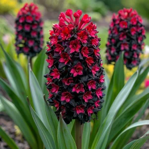 Гиацинт Джем Стоун купить по цене от 2099р. в интернет-магазине «Посадика» с доставкой почтой в в Рудняе и по всей России – [изображение №1].