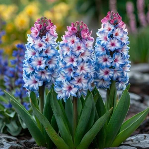 Гиацинт Пинк Мари купить по цене от 2099р. в интернет-магазине «Посадика» с доставкой почтой в в Рудняе и по всей России – [изображение №1].