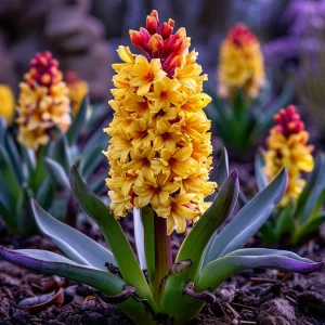 Гиацинт Миднайт Мистери купить по цене от 2099р. в интернет-магазине «Посадика» с доставкой почтой в в Рудняе и по всей России – [изображение №1].