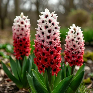 Гиацинт Скай Гарден купить по цене от 2099р. в интернет-магазине «Посадика» с доставкой почтой в в Рудняе и по всей России – [изображение №1].